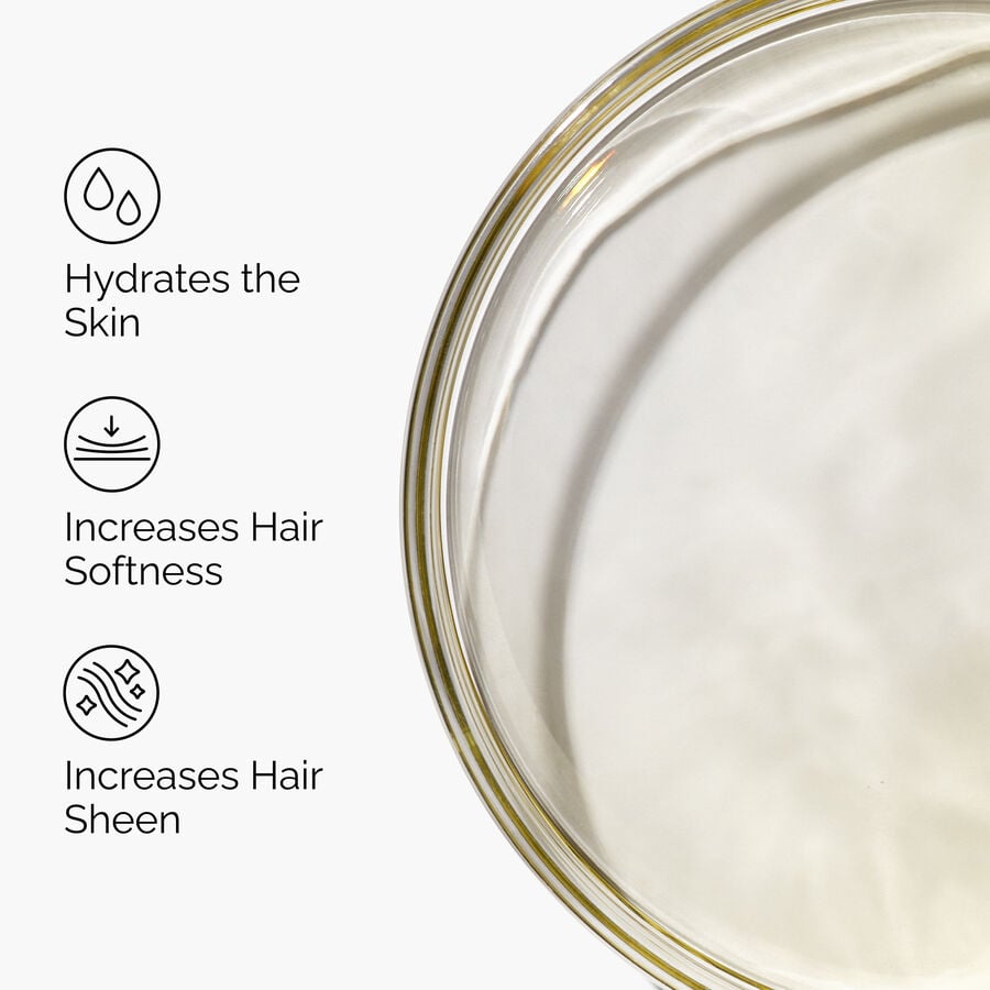 100-organic-cold-pressed-moroccan-argan-oil-g7 FY25-D41247-ORD-Web-PDP-100-Argan-Oil-1x1-EN-3.jpg