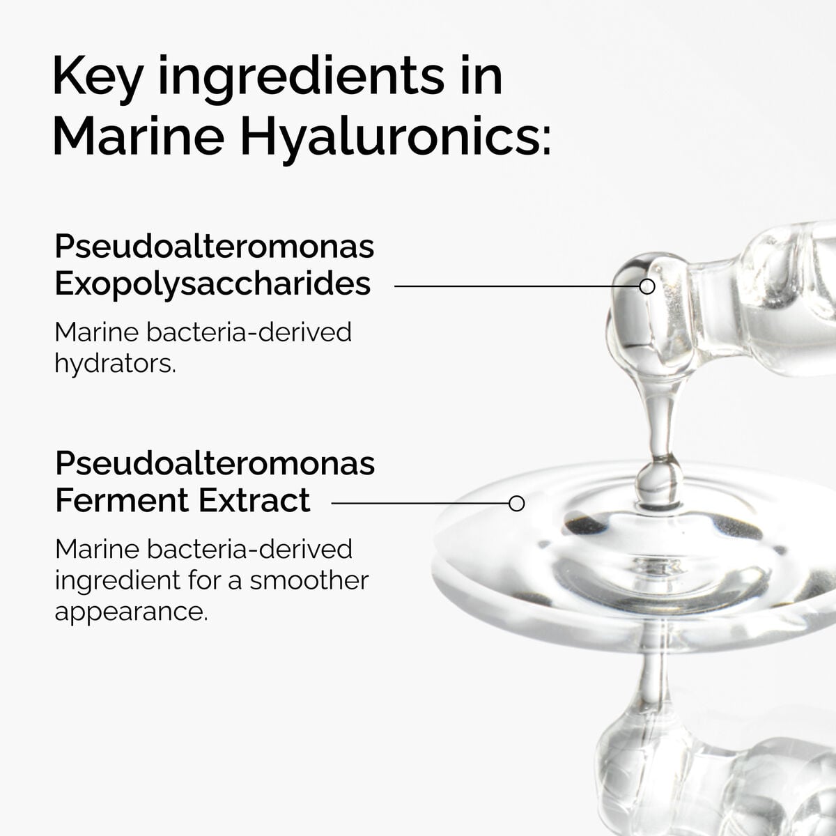 marine-hyaluronics-b8 FY25-D41247-ORD-Web-PDP-Marine-Hya-1x1-EN-2a.jpg