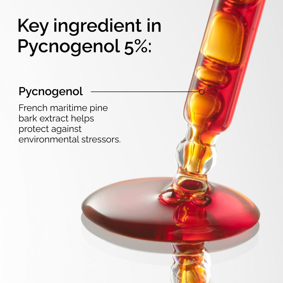 pycnogenol-5-k1 FY25-D41247-ORD-Web-PDP-Pyc-5pct-1x1-EN-2a.jpg