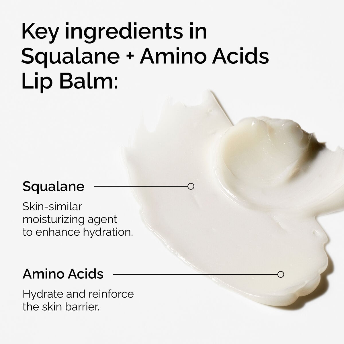 squalane-amino-acids-lip-balm-t4 FY25-D41247-ORD-Web-PDP-Sql-Amino-Lip-1x1-EN-2a.jpg