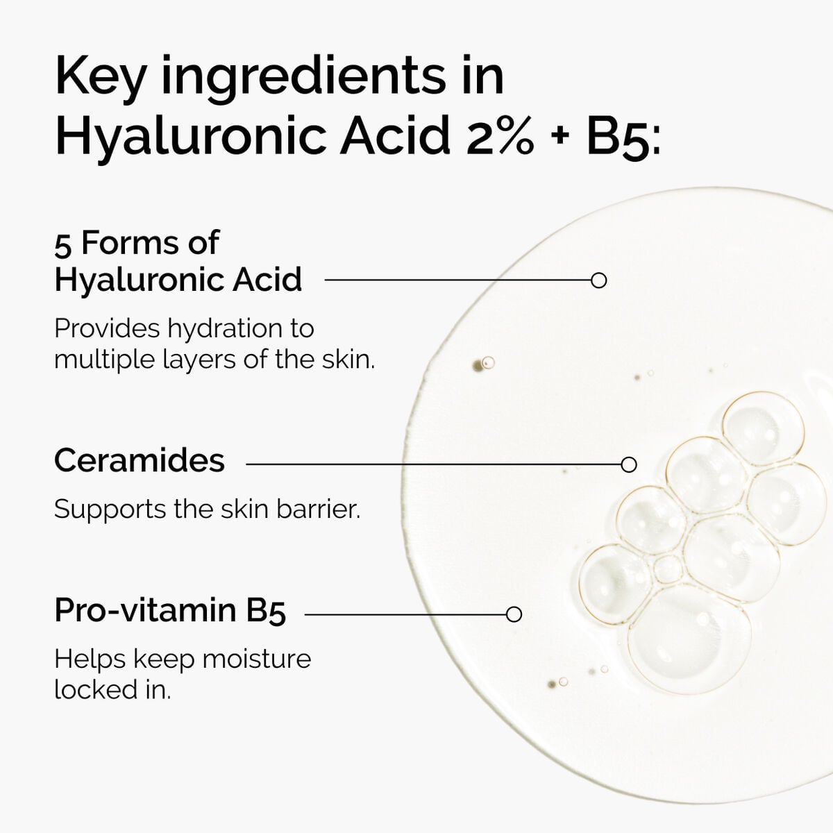 hyaluronic-acid-2-b5-with-ceramides-i1 ord-hyaluronic-acid-2pct-b5-hydrating-serum-ingredients-graphic.jpg