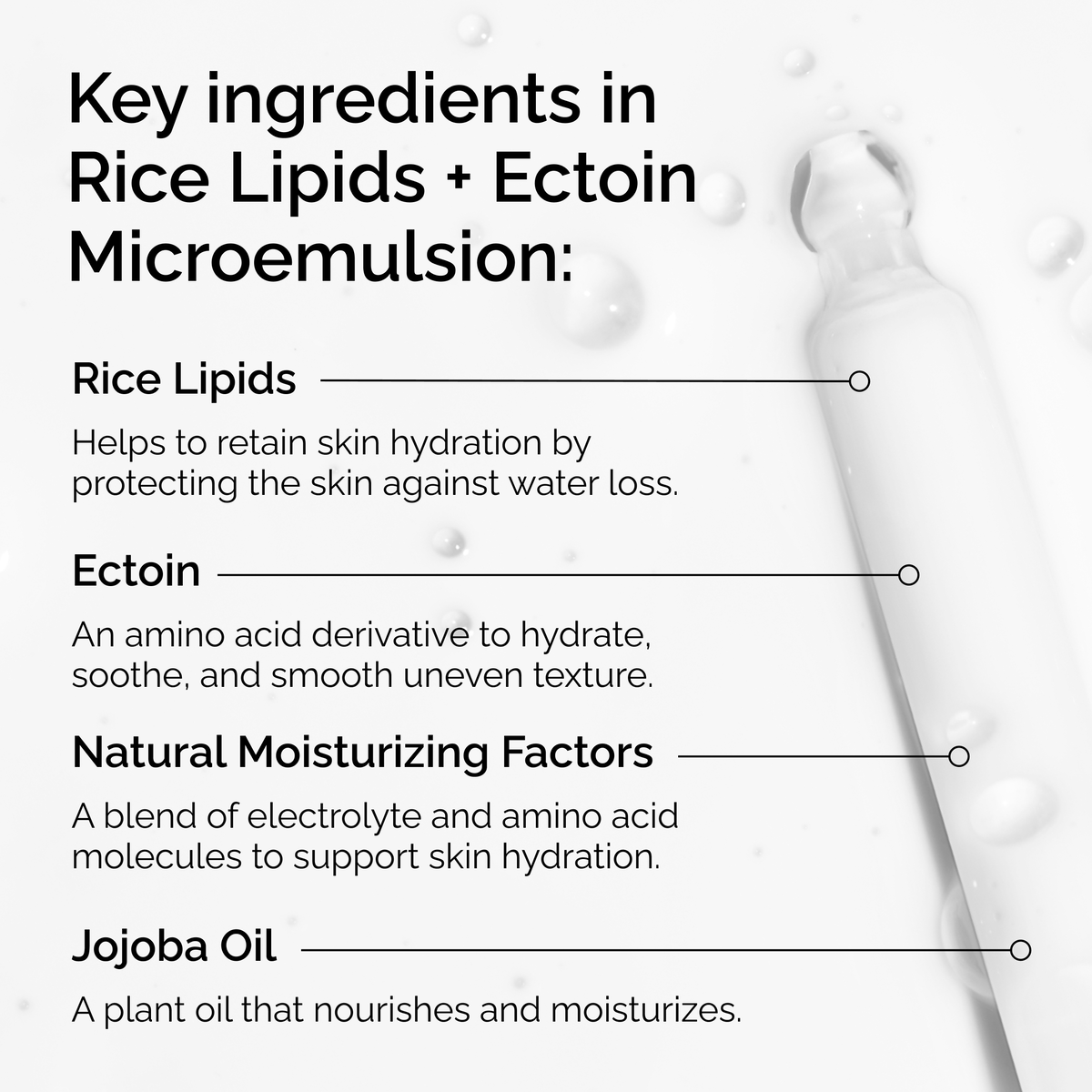 rice-lipids-ectoin-microemulsion-k4 ord-rice-lipids-ectoin-microemulsion-key-ingredients.png