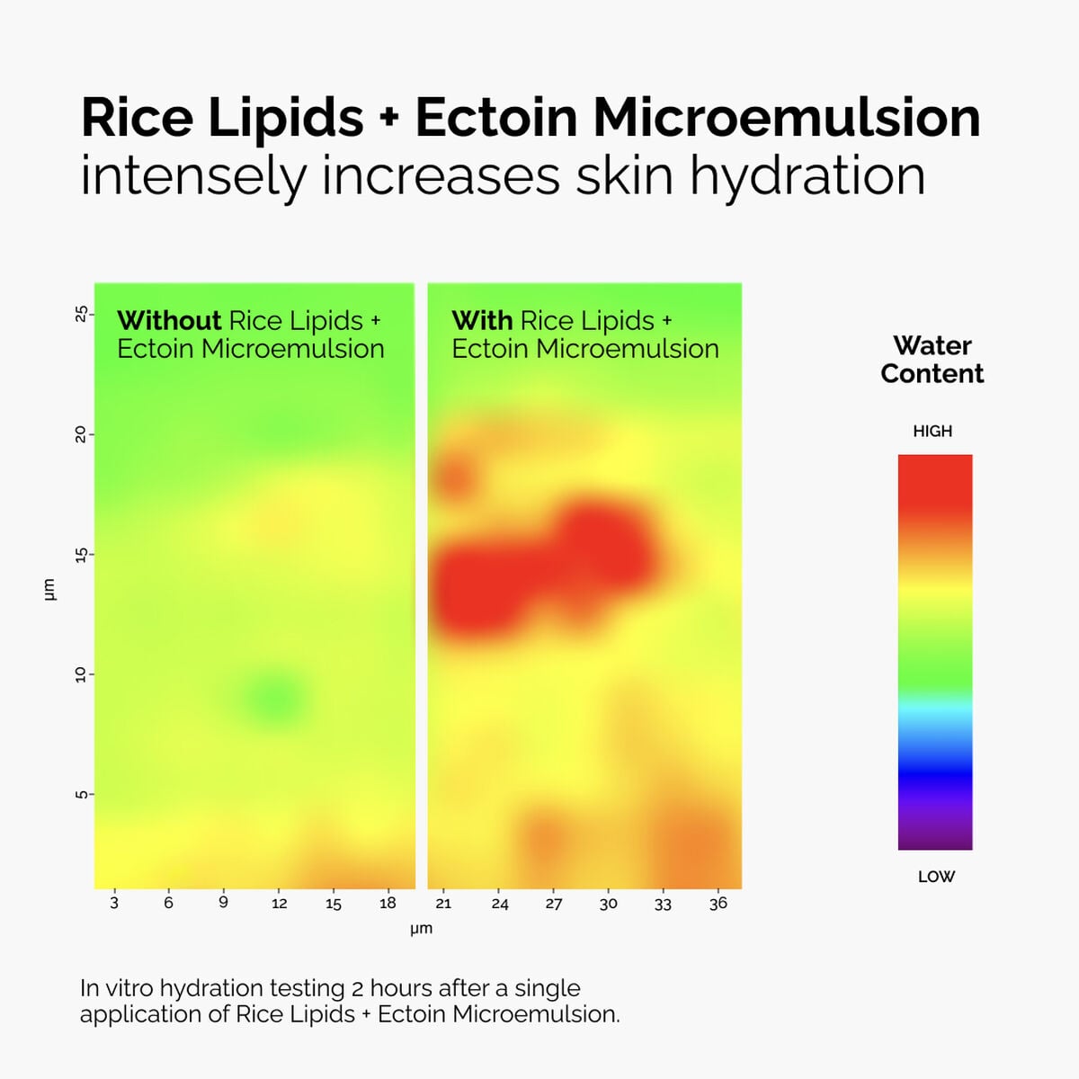rice-lipids-ectoin-microemulsion-k4 ord-rice-lipids-ectoin-microemulsion-thermal-before-after.jpg
